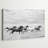 Horse Run I by PHBurchett Black and White Photographic Print with Mounting Hardware-2100497758-2073370029-2032571289