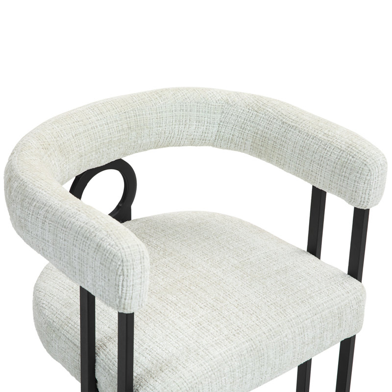 Chaise d'appoint, ensemble de 2 chaises d'appoint rembourrées de conception contemporaine, chaises de salon, fauteuil de cuisine