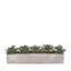Faux Echeverias with Pebbles Succulent Floral Arrangements in Pot