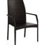 Outdoor Chair Of 2 - Iron Structure, Brown Pe , Ergonomic Seat Configuration Chairs Collection Robust Cozy Resting Place