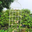 Treillis de jardin en métal 86,7 po x 19,7 po antirouille blanc crème, pour plantes grimpantes, support pour fleurs extérieures, tuyau galvanisé 19,7 po, plantes blanches