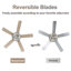 Ventilateur de plafond standard à 5 pales de 52 po avec télécommande et ensemble d'éclairage inclus Andella-1169096743