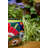 Talavera Green Detailed Planter Baul-50392053