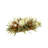 Fall Centerpiece with Hydrangeas and Pampas in a Wood Planter