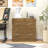 Filing Cabinet with 2 Drawers File Cabinet with Lock-103118721