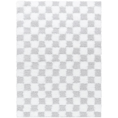Gorney Checkered Indoor Rug