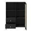 Lanfrank Solid Wood 2 - Drawer Accent Chest-1260124927