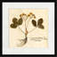 Pressed Botanical 5 Print