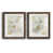 Walnut Framed Paper is unavailable