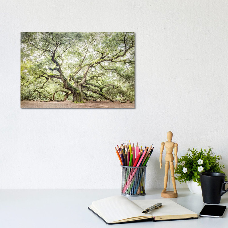 Angel Oak Tree by Apryl Roland - Gallery-Wrapped Canvas Giclée on Canvas, Does Not Apply, 20.32 cm H x 30.48 cm W