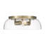 Iftimie 14" Flush Mount with Clear Glass-1822416469