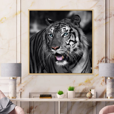 Portrait d'un tigre blanc I - photographie sur toile