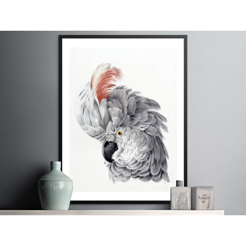 Sanjuana Print, 20x30