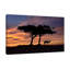 A New Dawn by Dominic Liam - Wrapped Canvas Print-88744442