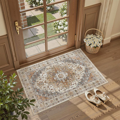Tapis lavable 2 x 3, petit tapis d'entrée antidérapant, tapis d'intérieur