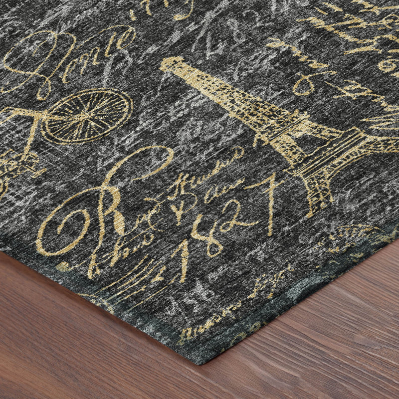 Machine Washable Indoor/Outdoor Chantille ACN2639 Novelty Rug, 8' x 10', Black