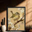 Encadré noir, beaux oiseaux, observateurs d'oiseaux, art mural, impressions rétro-1069260470