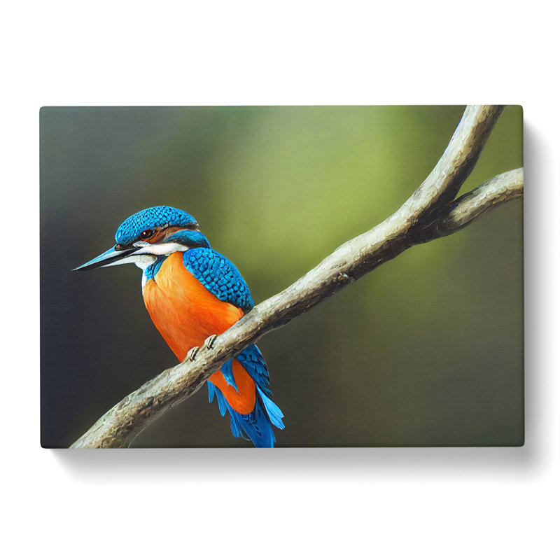 Unreal Kingfisher Bird - Wrapped Canvas, 50cm H x 76cm W x 3cm D