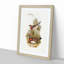 Chestnut-breasted Ground Thrush by Elizabeth Gould - Picture Frame Painting Print-55536135-55536137