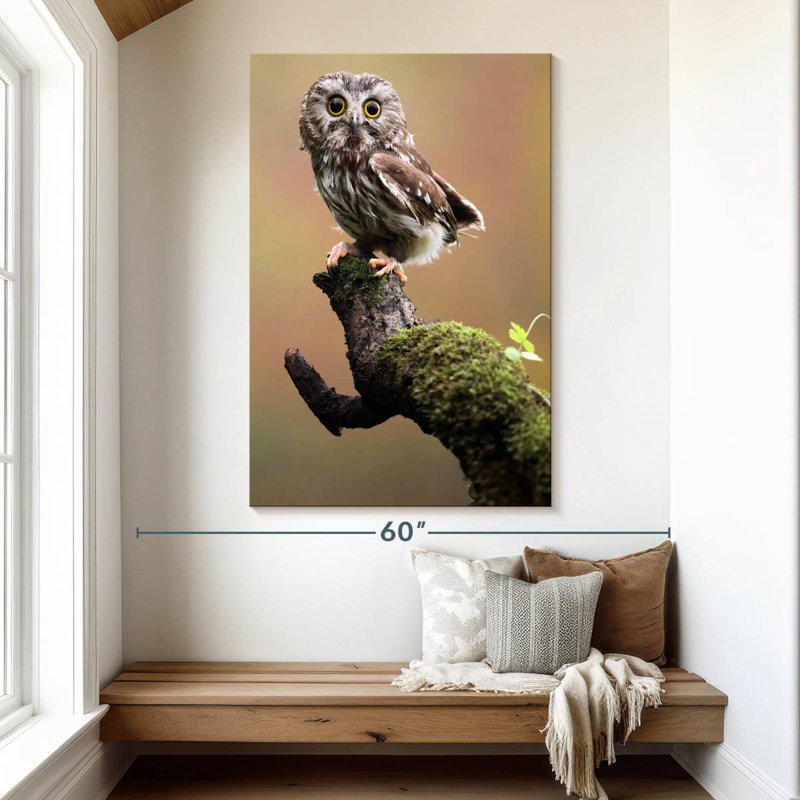Brampt Northern Saw Whet Owl, 51" H x 34" W
