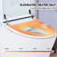 Upmarket Dual Flush Toilet - Heated Seat, Foot Sensor Flush, Night , Knob Control, Superior Flushing Quality High-Performance
