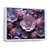 Cadre flottant blanc