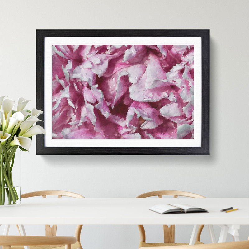 Beautiful Pink Carnation Petals - Single Picture Frame Painting on MDF, Black, 45cm H x 63cm W x 2cm D