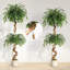 Plant-1645508725