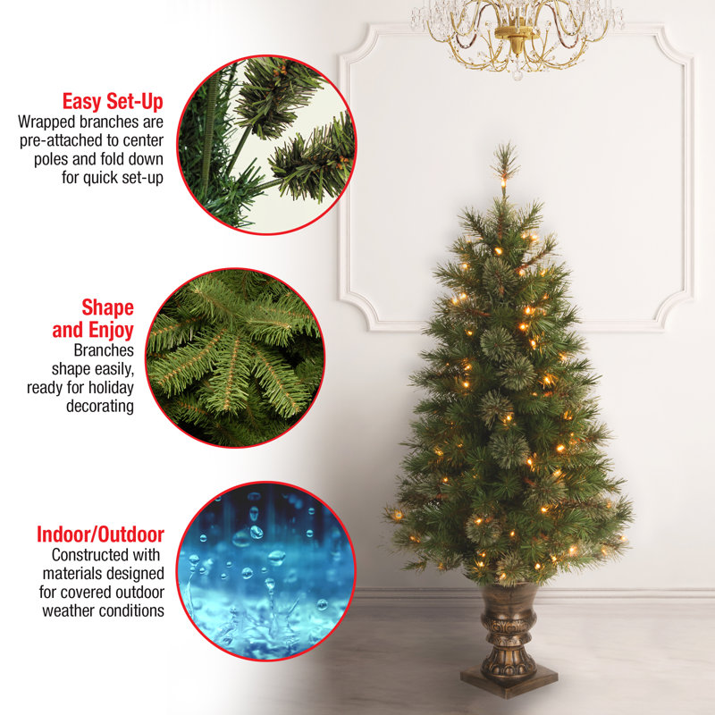 4 ft. Atlanta Spruce Entrance Tree with Clear Lights