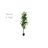 72'' Faux Dracaena Tree in Planter