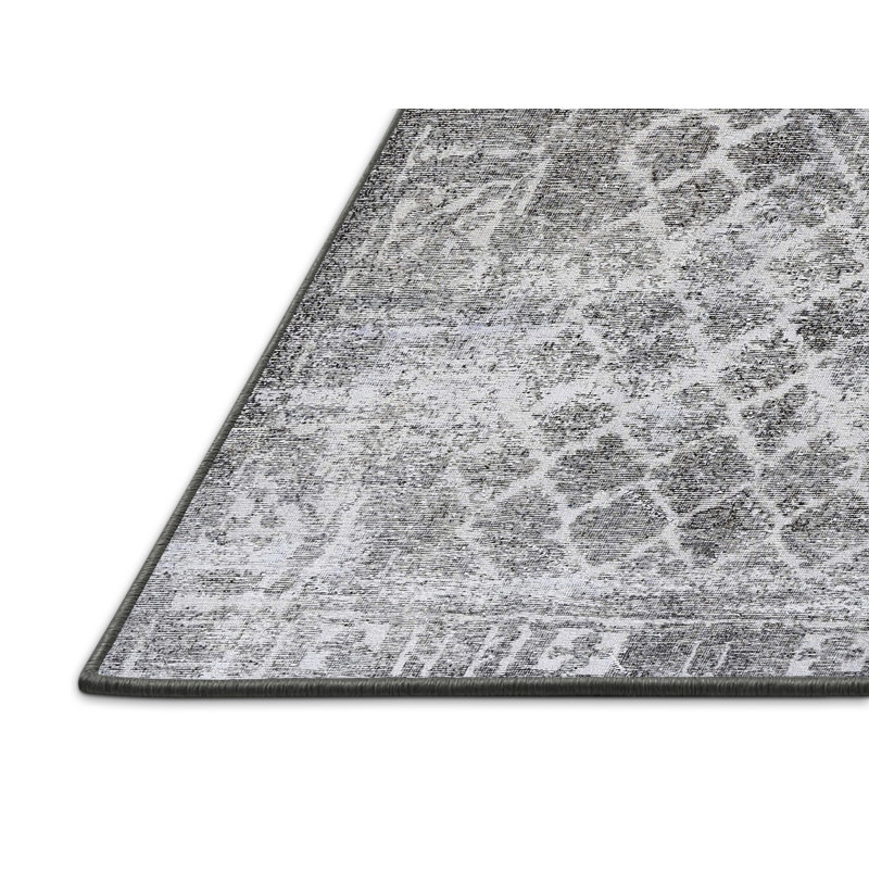 Appistoki Performance Oriental Indoor Rug, Rectangle 2' x 4'