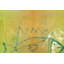 Parvez Taj - Wrapped Canvas Print-16674269