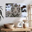 Glacieux tigre blanc Brampt-107707818