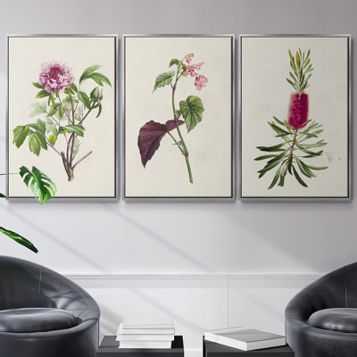 Jolies roses botaniques, ensemble de 3 pièces encadrées sur toile V
