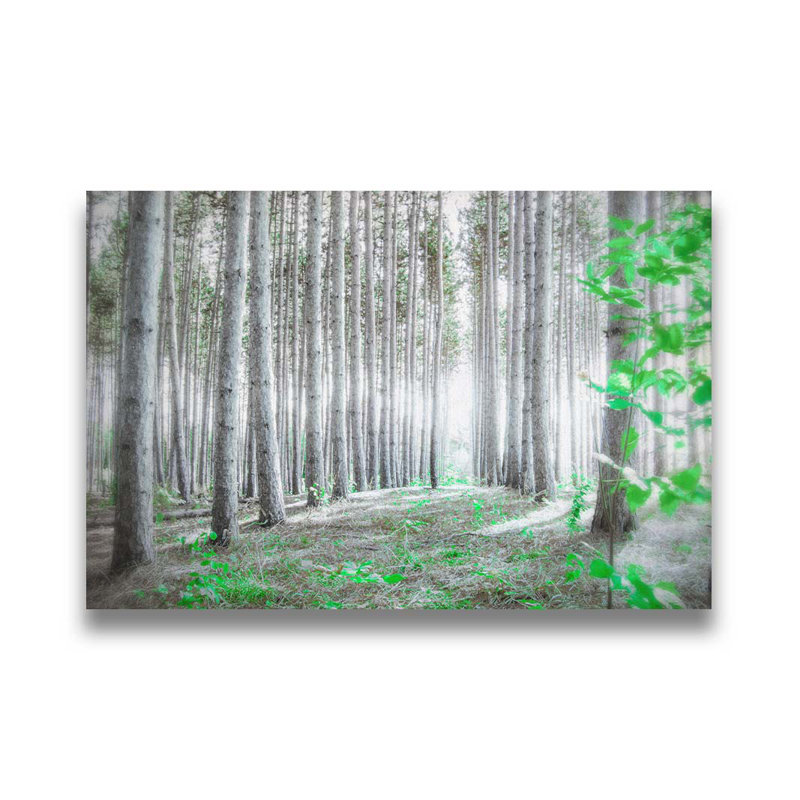Le dernier du vert dans la forêt par Hal Halli. Estampe numérique, Toile tendue, Ne pas appliquer, H 30 po x l 45 po