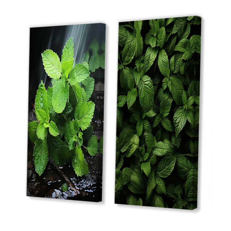 Ensemble de 2 décorations murales Herbs Peppermint Breeze II - Herbs, H 28 po x l 25 po, Toile tendue