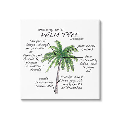 «Tropical Palm Tree», Flores, plantes, éducatif