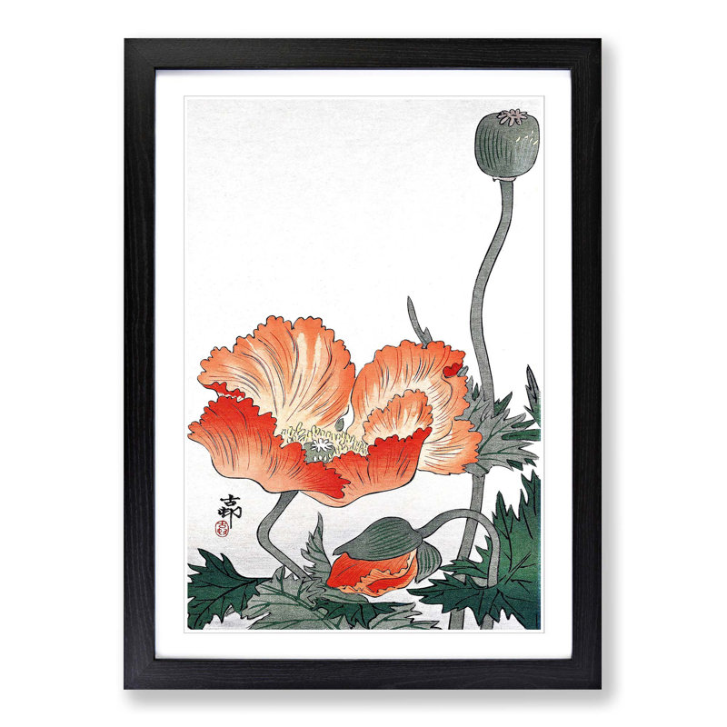 Poppy Flower by Ohara Koson - Picture Frame Painting Print, 65cm H x 48cm W x 2cm D, Black Framed