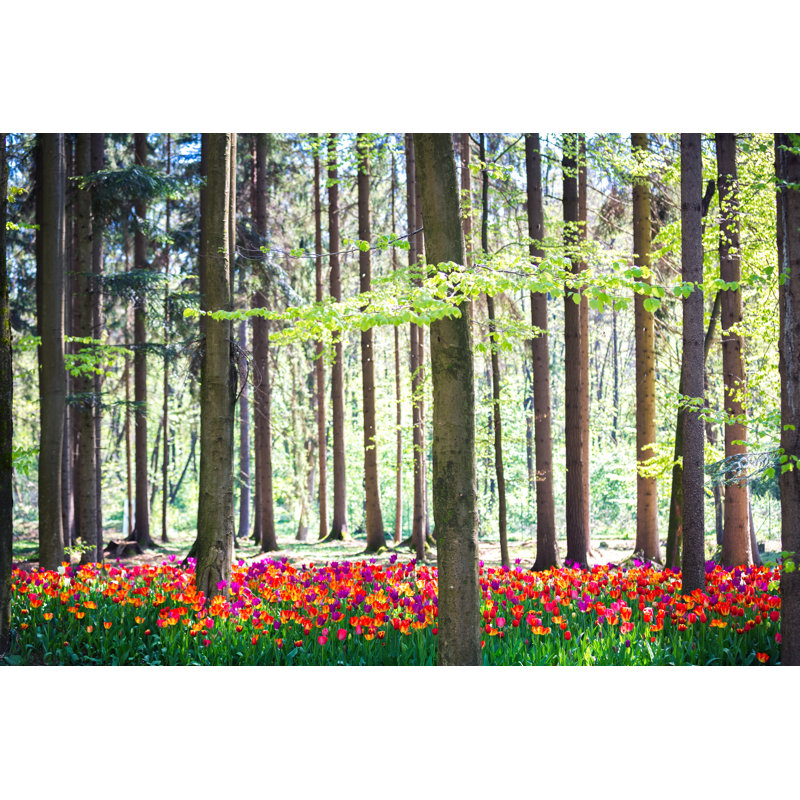 Tulip Field In The Forest by Borchee - Wrapped Canvas Print, 30cm H x 46cm W