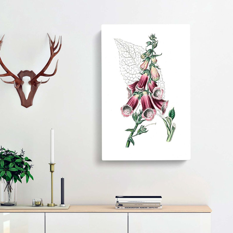 Foxglove Flowers Illustration - Wrapped Canvas Painting, 76cm H x 50cm W x 3cm D