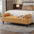 Modern Bedroom Bench,Bench For End Of Bed,Velvet Upholstered Bench With 2 Detachable Pillows,Comfy Upholstered Footstool,Ottoman For Bedroom,Living Room, Entryway,Yellow