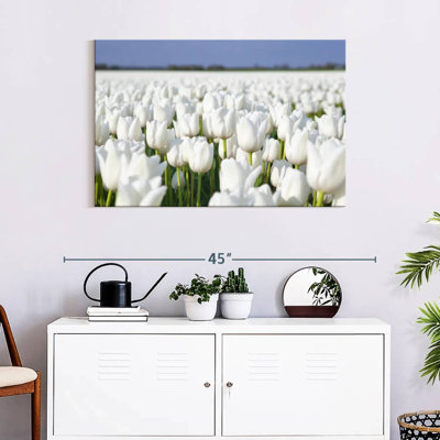 Alvord Endless White Tulips