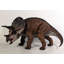 Statue de bébé dinosaure tricératops définitif