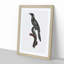 Manucode Bird of Paradise by Jacques Barraband - Picture Frame Painting Print-55575810-55575811