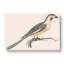 Parrot by Johan Teyler - Wrapped Canvas-55338794