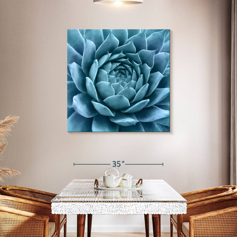 Silvery Blue Agave, 39" H x 39" W