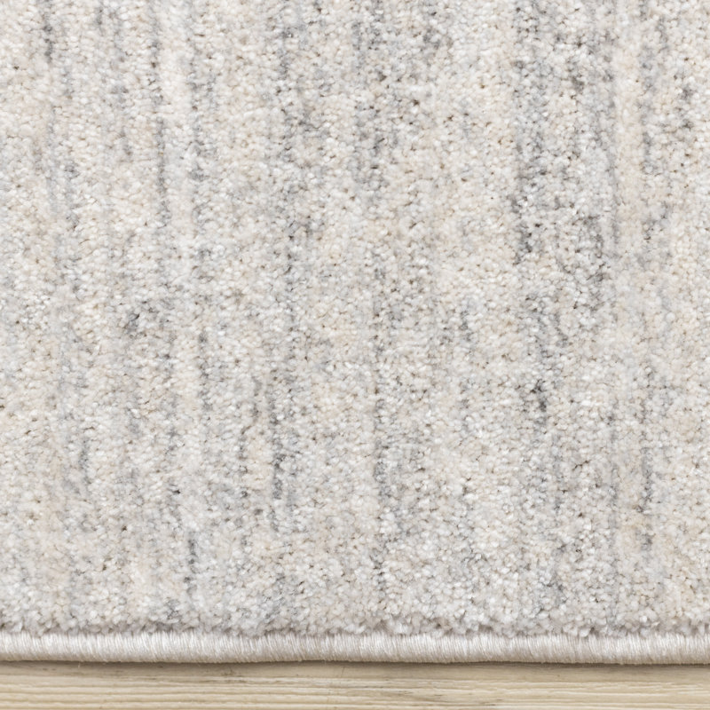 Tapis en peluche Bronny, Rectangle 5 pi 3 po x 7 pi 10 po