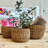 3 Piece Wicker Basket Set