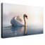 Print on Canvas-22842618-22877441
