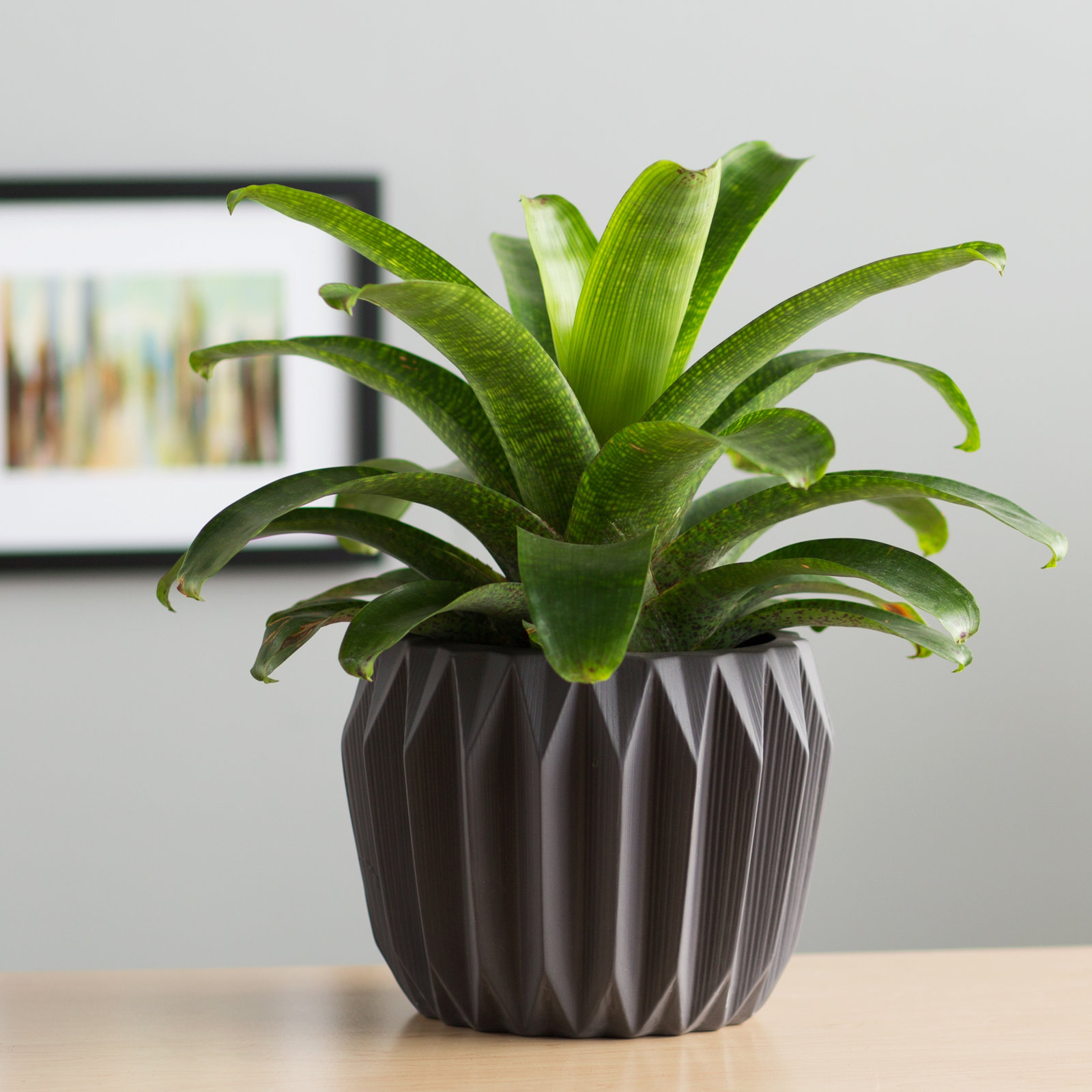 Harvey Ceramic Pot Planter, 6" H x 7.75" W x 7.75" D, Gray